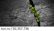 Monster breaking through and Halloween fear background or creepy green horror beast and zombie emerging out of  a cement wall crack as a very scary mutant alien creature or demon symbol in a 3D illustration style. Стоковое фото, агентство Ingram Publishing / Фотобанк Лори