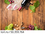 copy space grape vines wine. Стоковое фото, агентство Ingram Publishing / Фотобанк Лори