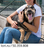 cute dog playing with woman shelter adoption. Стоковое фото, агентство Ingram Publishing / Фотобанк Лори