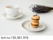 close up macarons with lavender. Стоковое фото, агентство Ingram Publishing / Фотобанк Лори