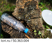 OLYMPUS DIGITAL CAMERA. overhead view empty plastic water bottle tree stump. Стоковое фото, агентство Ingram Publishing / Фотобанк Лори