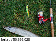 fishing lure rod fish green grass. Стоковое фото, агентство Ingram Publishing / Фотобанк Лори