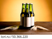 green bottles alcohol wooden table. Стоковое фото, агентство Ingram Publishing / Фотобанк Лори