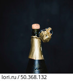 opening bottle champagne. Стоковое фото, агентство Ingram Publishing / Фотобанк Лори