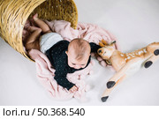 baby crawling out basket. Стоковое фото, агентство Ingram Publishing / Фотобанк Лори