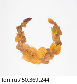 semicircle from dried leaves. Стоковое фото, агентство Ingram Publishing / Фотобанк Лори