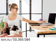 woman desk working laptop holding cat. Стоковое фото, агентство Ingram Publishing / Фотобанк Лори