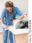 young female veterinarian injecting dog with injection table clinic. Стоковое фото, агентство Ingram Publishing / Фотобанк Лори