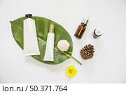 spa cosmetics product leaf with essential oil pinecone flowers white background. Resolution and high quality beautiful photo. spa cosmetics product leaf with essential oil pinecone flowers white background. High quality beautiful photo concept. Стоковое фото, агентство Ingram Publishing / Фотобанк Лори