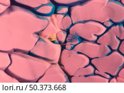 close up peach turquoise color painted draught texture background. Стоковое фото, агентство Ingram Publishing / Фотобанк Лори
