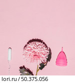top view flower with tampon menstrual cup. Стоковое фото, агентство Ingram Publishing / Фотобанк Лори