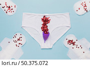 top view knickers with red sequins menstrual cup. Стоковое фото, агентство Ingram Publishing / Фотобанк Лори