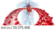Anemia Anaemia Disease  medical diagram concept as abnormal and normal blood cell count and human circulation in an artery or vein as a 3D illustration on a white background. Стоковое фото, агентство Ingram Publishing / Фотобанк Лори
