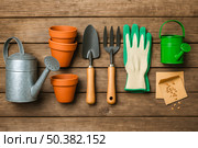 Essential gardening tools including a metal watering can, spade, fork, and gloves arranged on a rustic wooden plank background. Стоковое AI-изображение, AI-художник Павел Муравьев / Фотобанк Лори