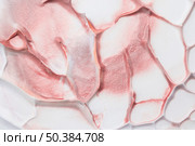 high angle view brown white painted cracked textured pattern. Стоковое фото, агентство Ingram Publishing / Фотобанк Лори
