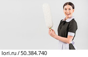 housekeeper with happy surprised face duster. Стоковое фото, агентство Ingram Publishing / Фотобанк Лори