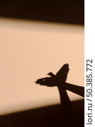 woman making bird shadow. Стоковое фото, агентство Ingram Publishing / Фотобанк Лори