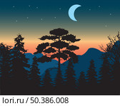 Beautiful landscape of the dawning in wood  mountains. Стоковая иллюстрация, иллюстратор Шипицин Евгений Витальевич / Фотобанк Лори