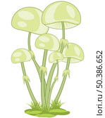 Uneatable mushrooms on white background is insulated. Стоковая иллюстрация, иллюстратор Шипицин Евгений Витальевич / Фотобанк Лори