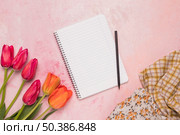 frame notebook with tulips shawls. Стоковое фото, агентство Ingram Publishing / Фотобанк Лори