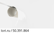 copy space empty toilet roll. Стоковое фото, агентство Ingram Publishing / Фотобанк Лори