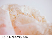 white textile material fine mesh. Стоковое фото, агентство Ingram Publishing / Фотобанк Лори