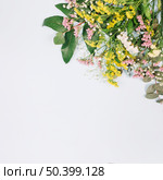 overhead view limonium yellow goldenrods solidago gigantea flowers isolated white background. Стоковое фото, агентство Ingram Publishing / Фотобанк Лори