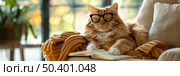 A content ginger cat dons a pair of glasses, reclining next to an open book on a comfortable couch, basking in soft indoor lighting. Стоковое AI-изображение, AI-художник Данила Большаков / Фотобанк Лори