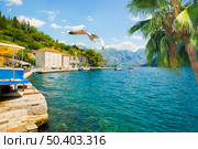 Historic city of Perast at Bay of Kotor in summer, Montenegro. Hot day in Perast. Стоковое фото, агентство Ingram Publishing / Фотобанк Лори