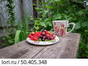 Ягоды малины, клубники, красной и черной смородины, вишни и крыжовника на чайном блюдце. Стоковое фото, фотограф Лариса Веселова / Фотобанк Лори