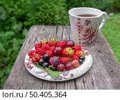 Ягоды малины, клубники, красной и черной смородины, вишни и крыжовника на чайном блюдце. Стоковое фото, фотограф Лариса Веселова / Фотобанк Лори
