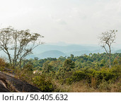 african nature scenery with trees 2. Стоковое фото, агентство Ingram Publishing / Фотобанк Лори