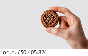 close up hand with chocolate biscuit. Стоковое фото, агентство Ingram Publishing / Фотобанк Лори