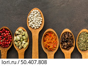 wooden spoon with spices aligned. Стоковое фото, агентство Ingram Publishing / Фотобанк Лори