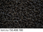 Pet Food Texture. Lot of Dry Granules of Crunchy Dog or Cat Food. Rotating Background. Animal Feed Pile. Fodder. Meal for Cats, Dogs. Filling. Daylight. Advertising. Pet Shop, Delivery. Healthy Treat. Стоковое фото, фотограф Ирина Старикова / Фотобанк Лори