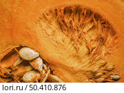 pumpkin insides background. Стоковое фото, агентство Ingram Publishing / Фотобанк Лори