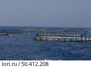 Рыбная ферма в море. Стоковое фото, фотограф Дмитрий Серегин / Фотобанк Лори