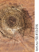 flat lay wood texture. Стоковое фото, агентство Ingram Publishing / Фотобанк Лори