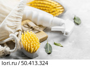high angle eco friendly cleaning brushes with ablution. Стоковое фото, агентство Ingram Publishing / Фотобанк Лори