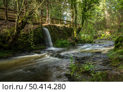 Surrounding landscape of the Estanislau fountain park and the Lourido river that divides the parishes of Arada and Maceda in the Municipality of Ovar, Portugal. Стоковое фото, агентство Ingram Publishing / Фотобанк Лори