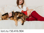 woman sitting her dog home. Стоковое фото, агентство Ingram Publishing / Фотобанк Лори