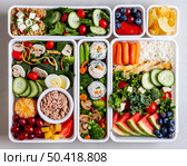 fish vegetables fruits flat lay. Стоковое фото, агентство Ingram Publishing / Фотобанк Лори