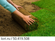 Woman applying turf rolls in the backyard. Стоковое фото, агентство Ingram Publishing / Фотобанк Лори