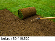 Gardener applying turf rolls in the backyard. Стоковое фото, агентство Ingram Publishing / Фотобанк Лори
