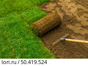 Gardener applying turf rolls in the backyard. Стоковое фото, агентство Ingram Publishing / Фотобанк Лори