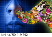 Respiratory allergies and allergy concept as allergen s from pets plants and mold being breathed in or inhaled by a large nose causing an allergic reaction with 3D illustration elements. Стоковое фото, агентство Ingram Publishing / Фотобанк Лори