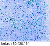 bright blue water with star spangles sequins. Стоковое фото, агентство Ingram Publishing / Фотобанк Лори