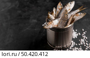 delicious fresh tuna fish. Стоковое фото, агентство Ingram Publishing / Фотобанк Лори