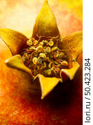 close up pomergranate fruit. Стоковое фото, агентство Ingram Publishing / Фотобанк Лори