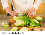 Chopped cabbage to permented preserved vegetables. Cabbage kimchi and sauerkraut sour cabbage. Стоковое фото, агентство Ingram Publishing / Фотобанк Лори